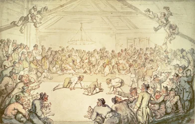 The Dog Fight